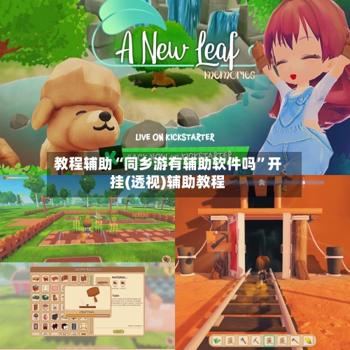 教程辅助“同乡游有辅助软件吗”开挂(透视)辅助教程-第2张图片