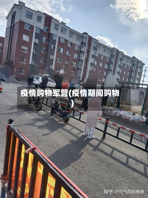 疫情购物军营(疫情期间购物)-第1张图片