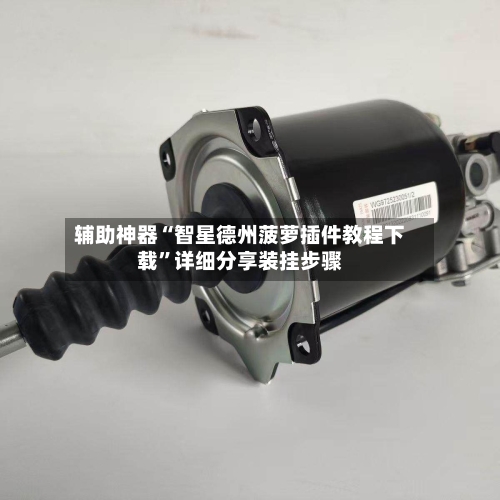 辅助神器“智星德州菠萝插件教程下载”详细分享装挂步骤-第3张图片