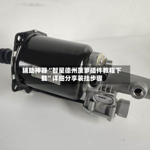 辅助神器“智星德州菠萝插件教程下载”详细分享装挂步骤-第2张图片