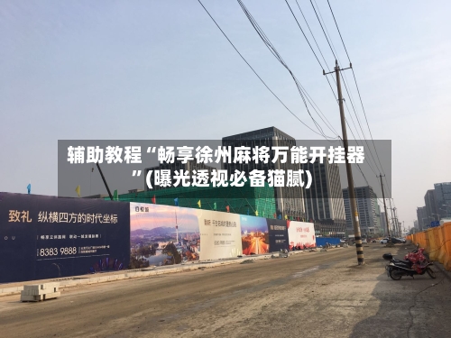 辅助教程“畅享徐州麻将万能开挂器”(曝光透视必备猫腻)-第2张图片