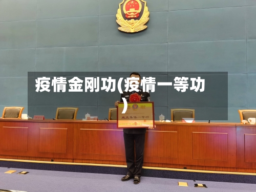 疫情金刚功(疫情一等功)-第2张图片