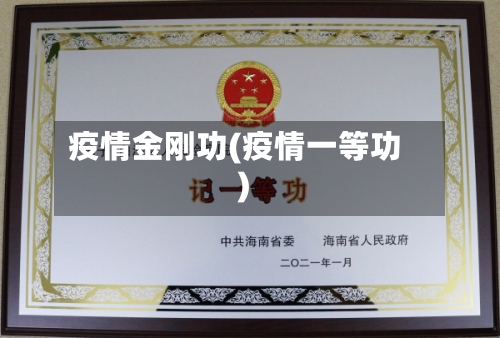 疫情金刚功(疫情一等功)-第1张图片