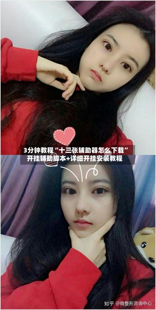 3分钟教程“十三张辅助器怎么下载	”开挂辅助脚本+详细开挂安装教程-第1张图片