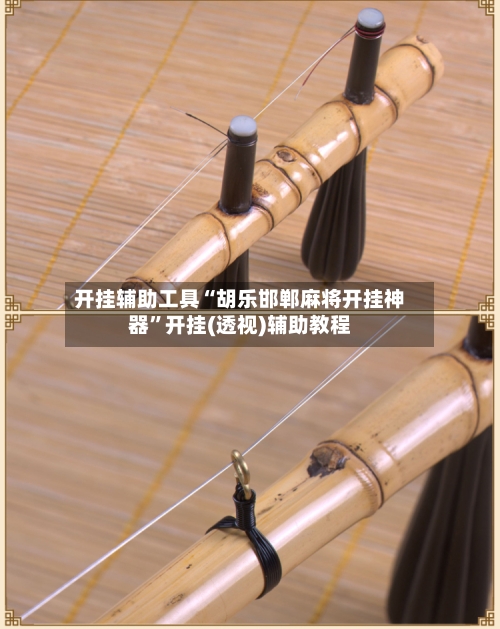 开挂辅助工具“胡乐邯郸麻将开挂神器”开挂(透视)辅助教程-第2张图片