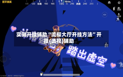 实测开挂辅助“流樱大厅开挂方法	”开挂(透视)辅助-第3张图片