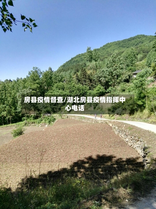 房县疫情督查/湖北房县疫情指挥中心电话-第3张图片