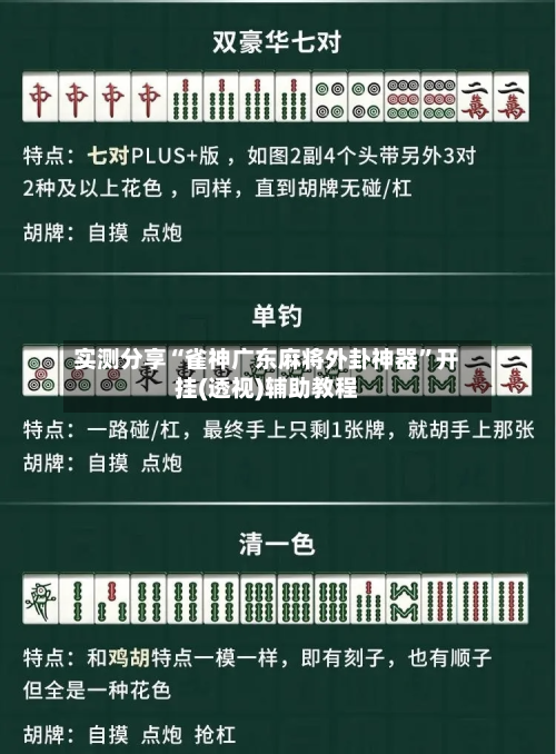 实测分享“雀神广东麻将外卦神器	”开挂(透视)辅助教程-第2张图片