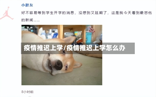 疫情推迟上学/疫情推迟上学怎么办-第3张图片