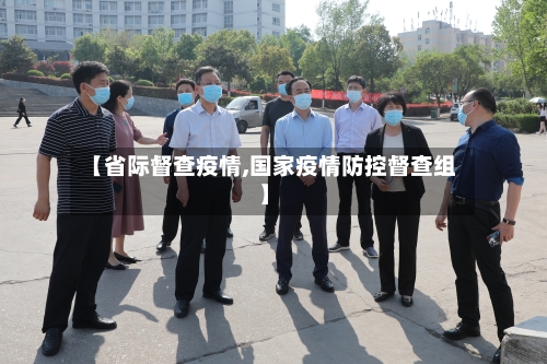 【省际督查疫情,国家疫情防控督查组】-第2张图片