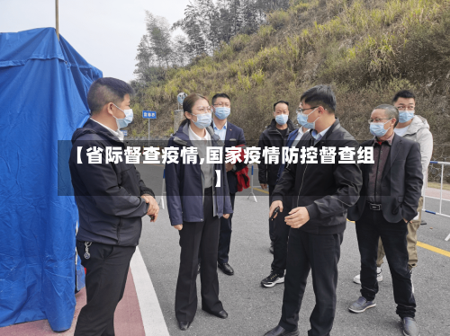 【省际督查疫情,国家疫情防控督查组】-第1张图片