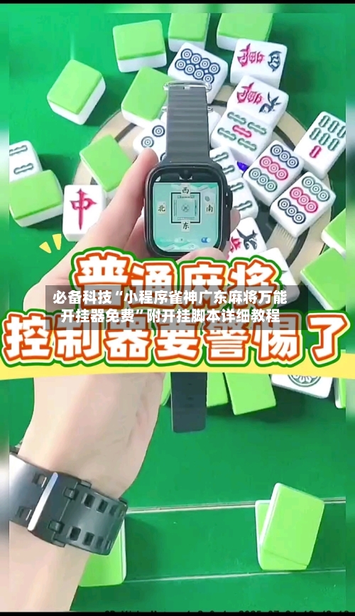 必备科技“小程序雀神广东麻将万能开挂器免费”附开挂脚本详细教程-第3张图片