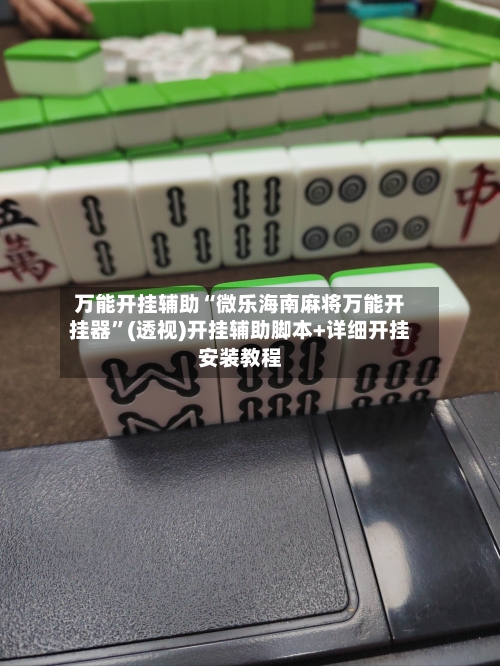 万能开挂辅助“微乐海南麻将万能开挂器”(透视)开挂辅助脚本+详细开挂安装教程-第2张图片