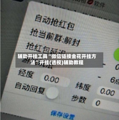 辅助开挂工具“微信链接金花开挂方法”开挂(透视)辅助教程-第2张图片