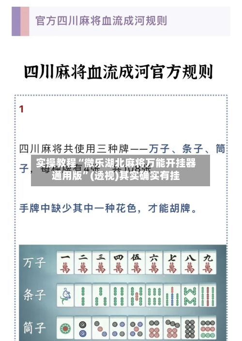 实操教程“微乐湖北麻将万能开挂器通用版”(透视)其实确实有挂-第2张图片