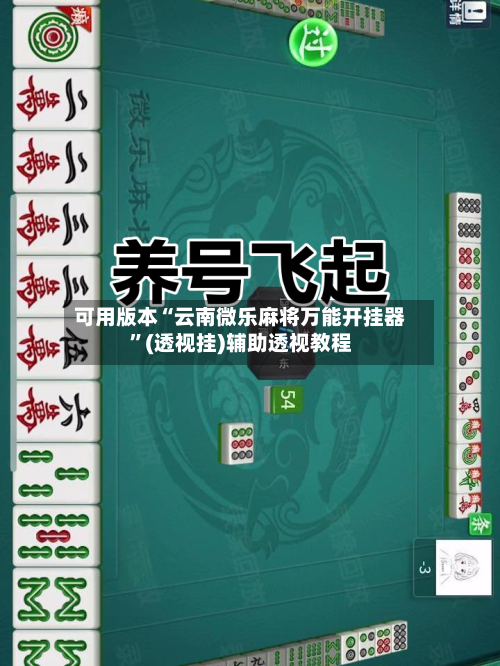可用版本“云南微乐麻将万能开挂器	”(透视挂)辅助透视教程-第1张图片