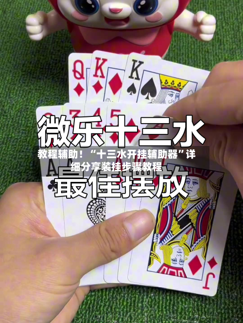 教程辅助！“十三水开挂辅助器”详细分享装挂步骤教程-第1张图片