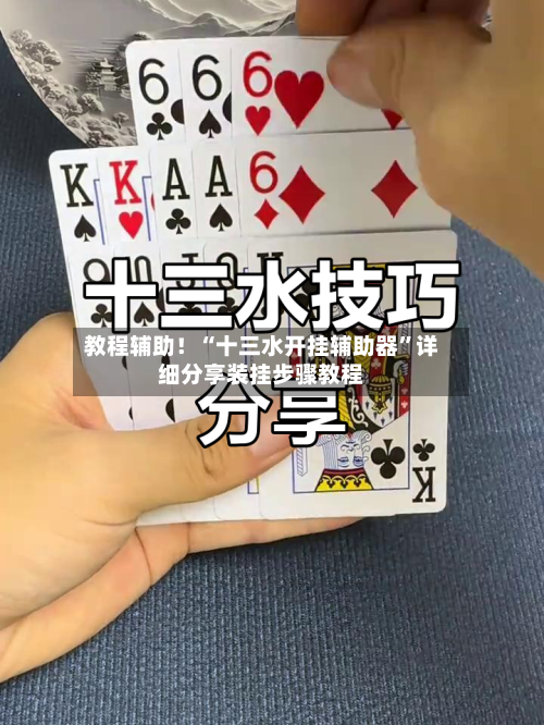 教程辅助！“十三水开挂辅助器	”详细分享装挂步骤教程-第3张图片