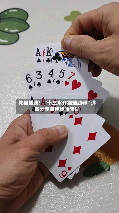 教程辅助！“十三水开挂辅助器”详细分享装挂步骤教程-第2张图片