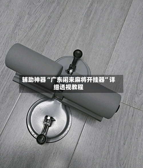 辅助神器“广东闲来麻将开挂器”详细透视教程-第1张图片