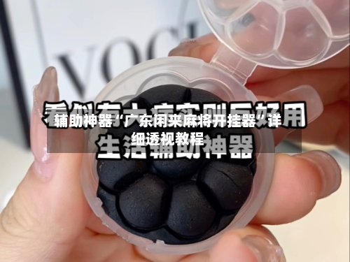 辅助神器“广东闲来麻将开挂器”详细透视教程-第2张图片