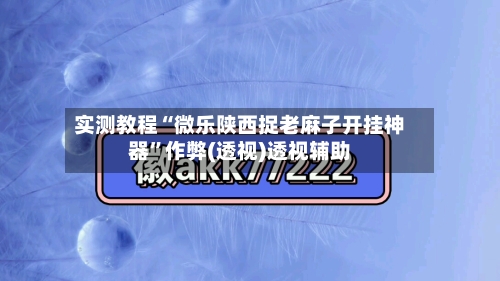 实测教程“微乐陕西捉老麻子开挂神器”作弊(透视)透视辅助-第1张图片