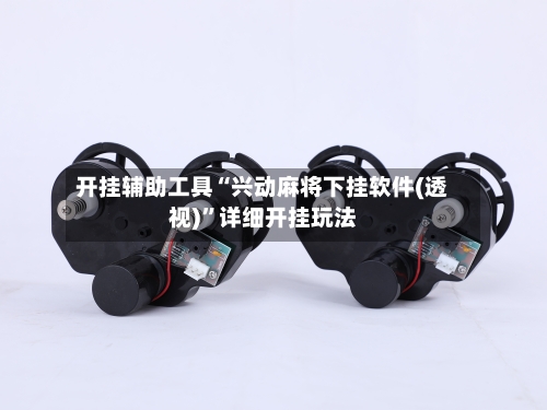 开挂辅助工具“兴动麻将下挂软件(透视)”详细开挂玩法-第3张图片