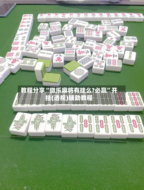 教程分享“微乐麻将有挂么?必赢”开挂(透视)辅助教程-第3张图片