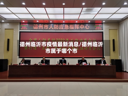 德州临沂市疫情最新消息/德州临沂市属于哪个市-第2张图片