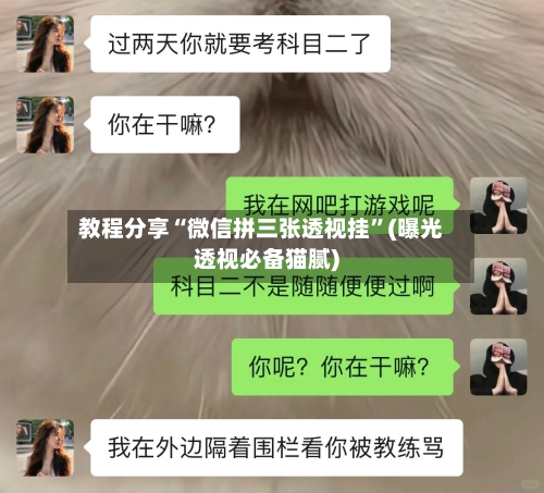 教程分享“微信拼三张透视挂	”(曝光透视必备猫腻)-第1张图片