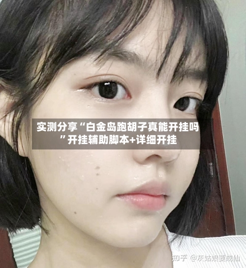 实测分享“白金岛跑胡子真能开挂吗”开挂辅助脚本+详细开挂-第1张图片