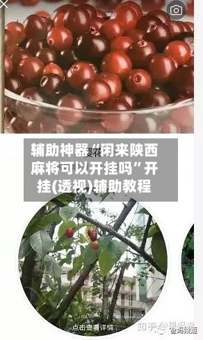 辅助神器“闲来陕西麻将可以开挂吗	”开挂(透视)辅助教程-第2张图片