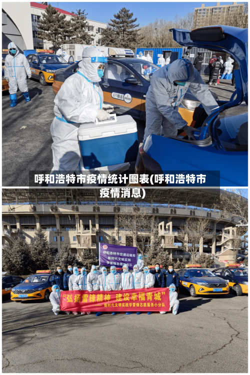 呼和浩特市疫情统计图表(呼和浩特市疫情消息)-第1张图片