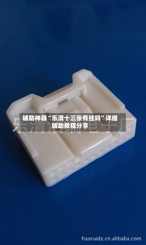 辅助神器“乐清十三张有挂吗	”详细辅助教程分享-第1张图片