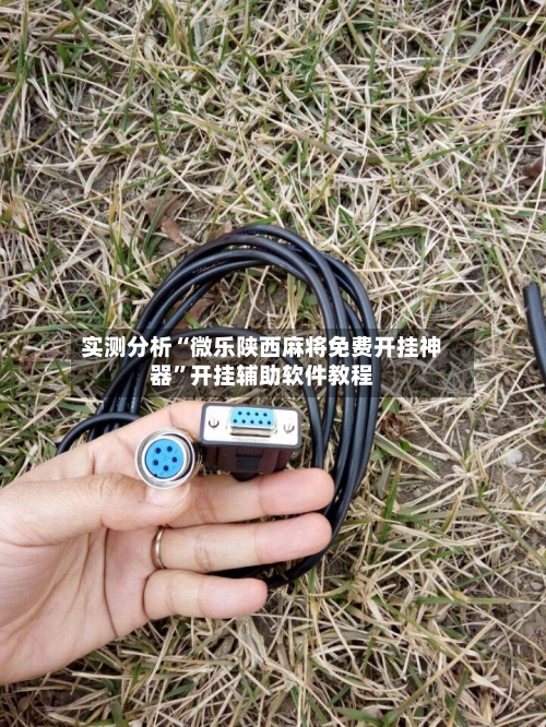 实测分析“微乐陕西麻将免费开挂神器	”开挂辅助软件教程-第1张图片