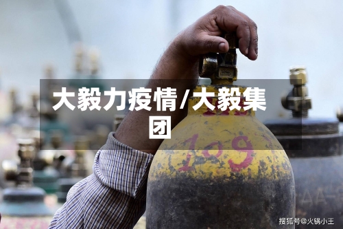 大毅力疫情/大毅集团-第3张图片