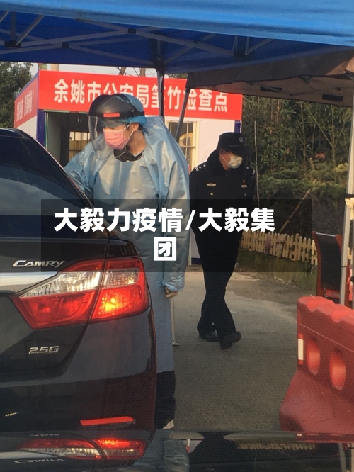 大毅力疫情/大毅集团-第2张图片