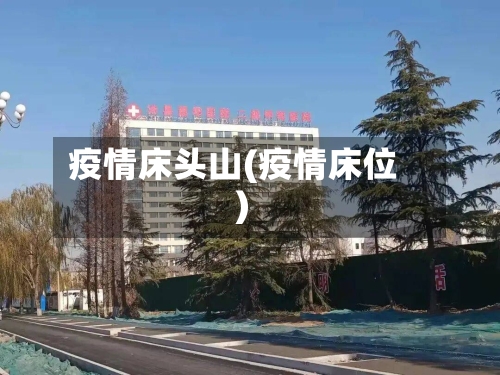 疫情床头山(疫情床位)-第2张图片