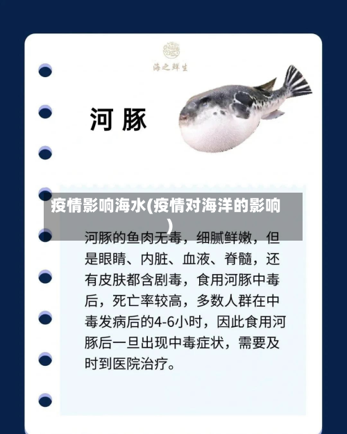 疫情影响海水(疫情对海洋的影响)-第2张图片