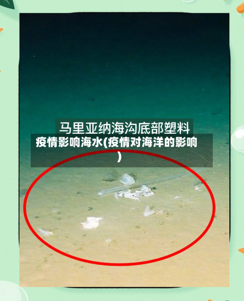 疫情影响海水(疫情对海洋的影响)-第1张图片