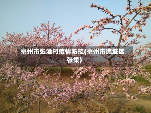 亳州市张潭村疫情防控(亳州市谯城区张集)-第2张图片