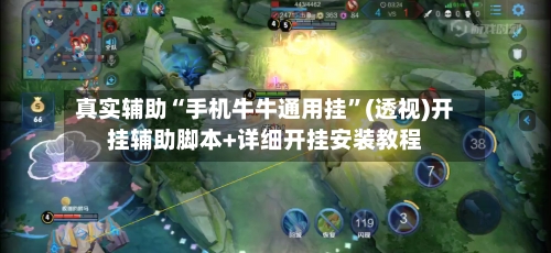 真实辅助“手机牛牛通用挂”(透视)开挂辅助脚本+详细开挂安装教程-第3张图片