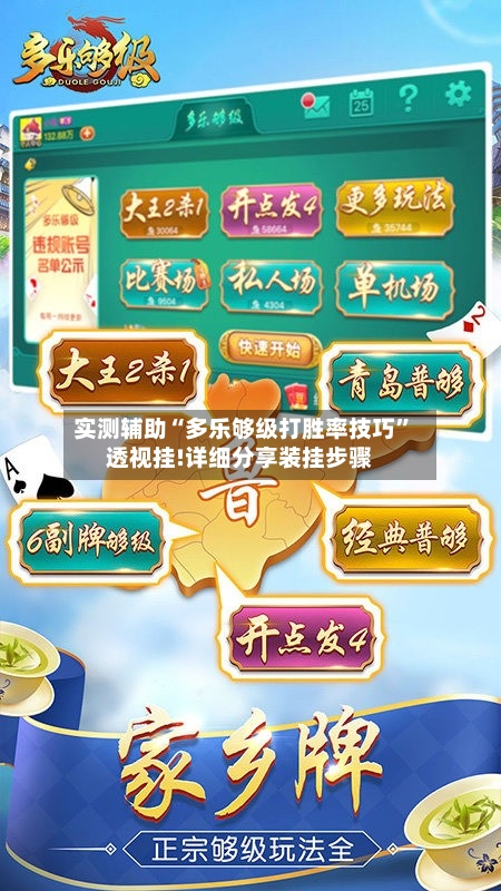 实测辅助“多乐够级打胜率技巧”透视挂!详细分享装挂步骤-第3张图片