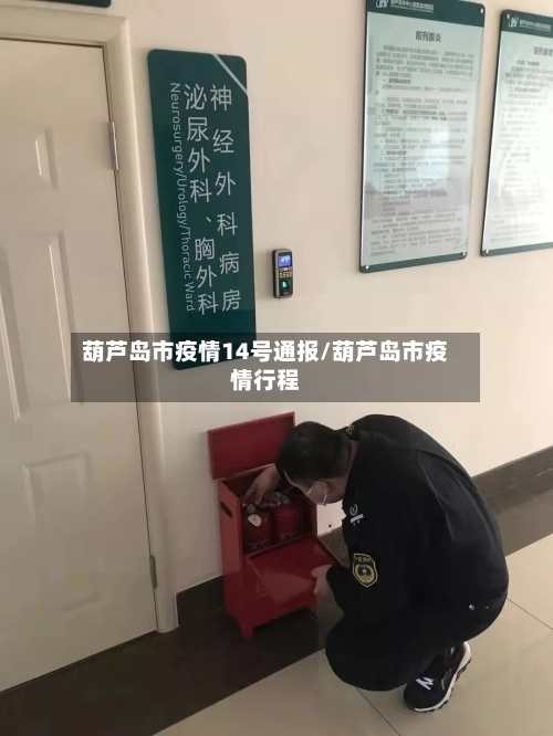 葫芦岛市疫情14号通报/葫芦岛市疫情行程-第2张图片