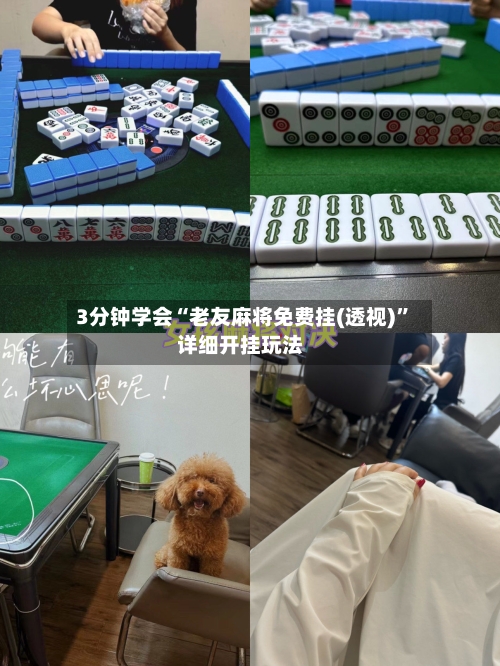 3分钟学会“老友麻将免费挂(透视)”详细开挂玩法-第2张图片