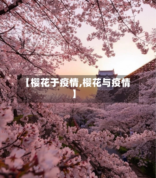 【樱花于疫情,樱花与疫情】-第3张图片