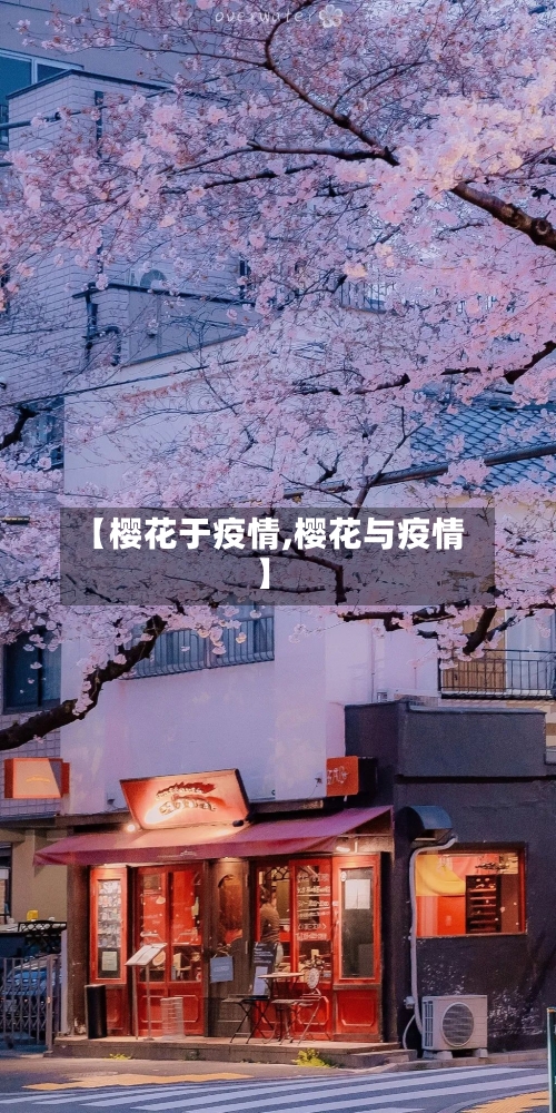 【樱花于疫情,樱花与疫情】-第2张图片