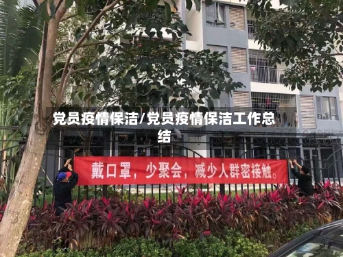 党员疫情保洁/党员疫情保洁工作总结-第2张图片