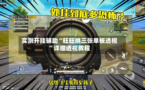 实测开挂辅助“旺旺拼三张单板透视”详细透视教程-第1张图片