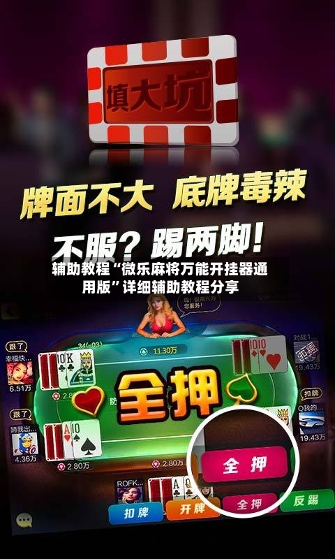 辅助教程“微乐麻将万能开挂器通用版”详细辅助教程分享-第2张图片